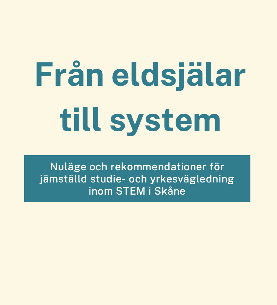 Omslag: Från eldsjälar till system